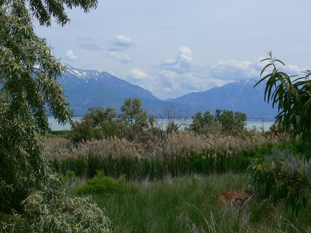 Eagle Park, Saratoga Springs, Utah